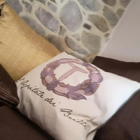 L'ospitale Dei Brilli Piazza Tanucci * Stia